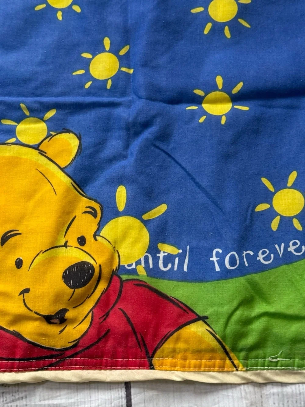 Vintage Disney Winnie the Pooh + Piglet zipper pillow case